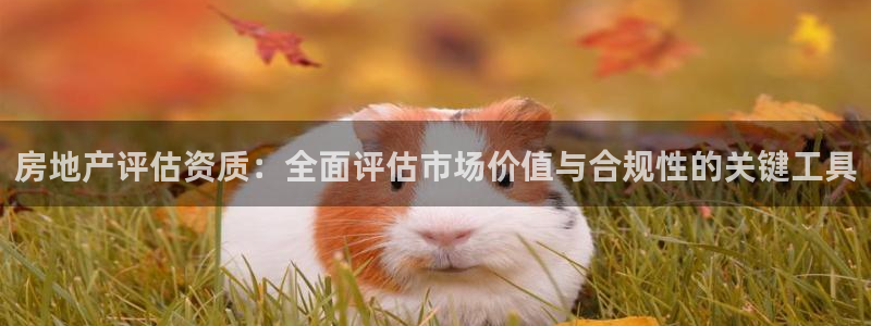 新宝奇迹GG5：房地产评估资质：全面评估市场价值与合规性的关