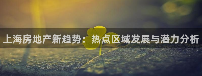 新宝5内部：上海房地产新趋势：热点区域发展与潜力分析