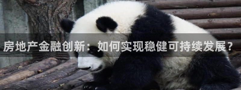 新宝股东张听2 5 5：房地产金融创新：如何实现稳健可持续发