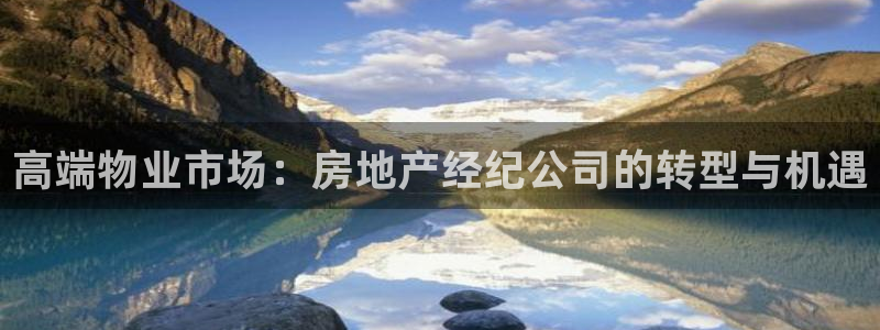 新宝5开好：高端物业市场：房地产经纪公司的转型与机遇