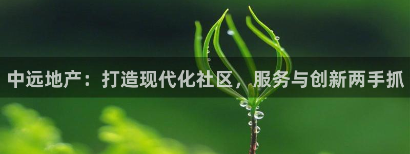 新宝5d：中远地产：打造现代化社区，服务与创新两手抓