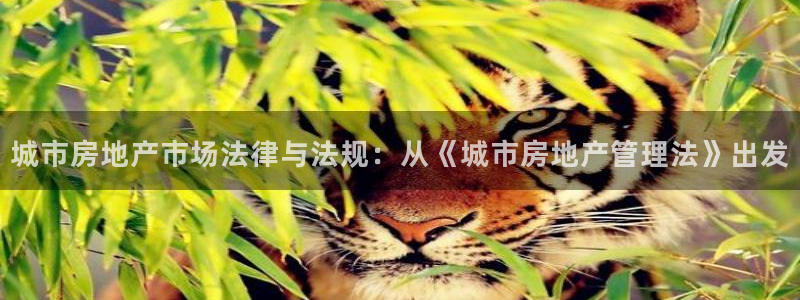 皇冠新宝5：城市房地产市场法律与法规：从《城市房地产管理法》