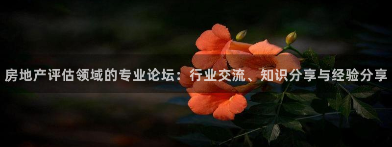 新宝股东瞧听2 5 5：房地产评估领域的专业论坛：行业交流、