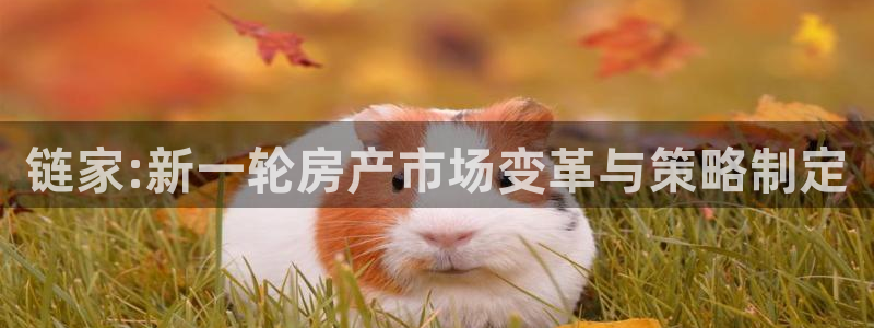 新宝5_测：链家:新一轮房产市场变革与策略制定