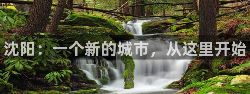 新宝5彩票是正规平台吗：沈阳：一个新的城市，从这里开始