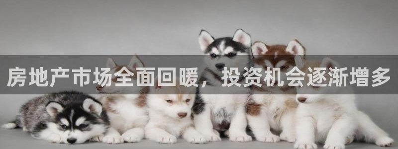 新宝5娱乐登陆：房地产市场全面回暖，投资机会逐渐增多