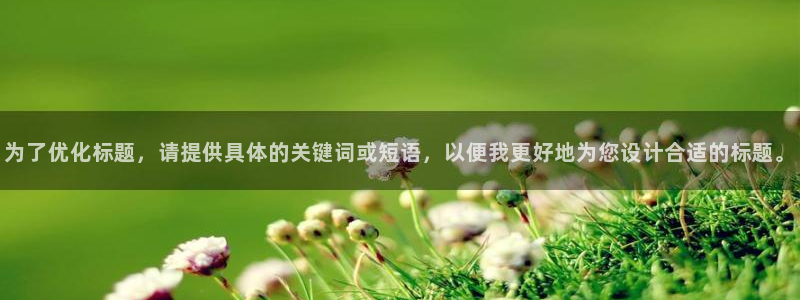 新宝G5：为了优化标题，请提供具体的关键词或短语，以便我更好