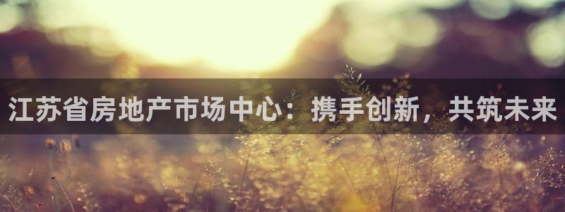 新宝5手机测速：江苏省房地产市场中心：携手创新，共筑未来